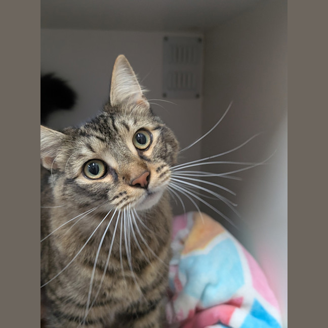 Photo of Ishbelle