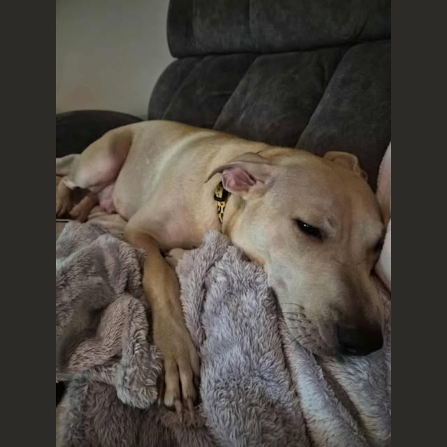 Photo of Bonnie