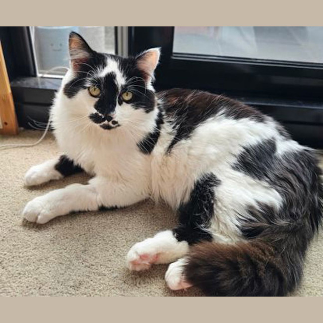 Photo of Mr Moo
