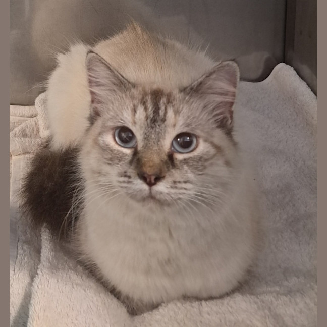 Photo of Penelope