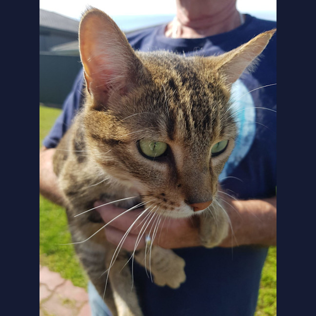 Photo of Regi   Now At Petquarters Rutherford