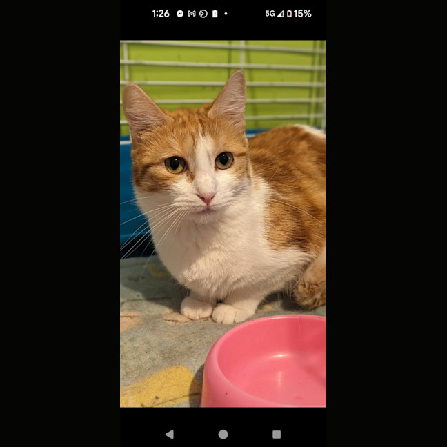 Photo of Tracey