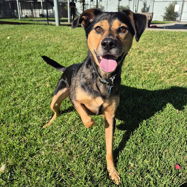 Photo of Ernie