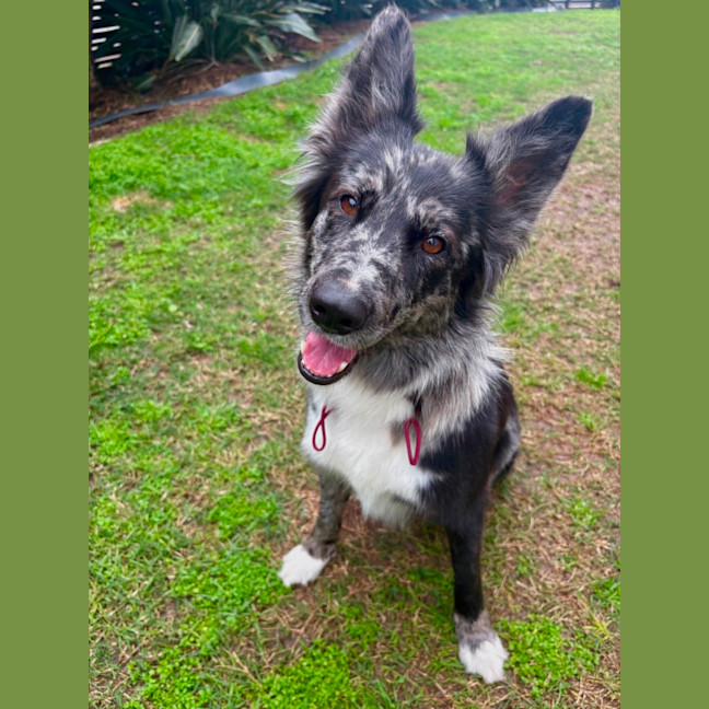 Photo of Nahla