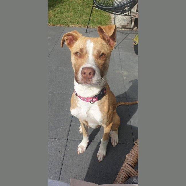 Photo of Ellie Valenti