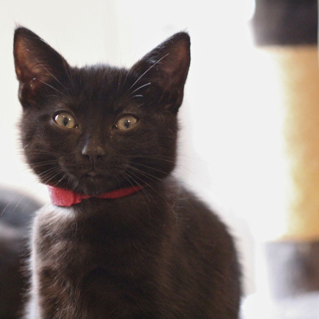 Photo of ❤️ Ravi ❤️