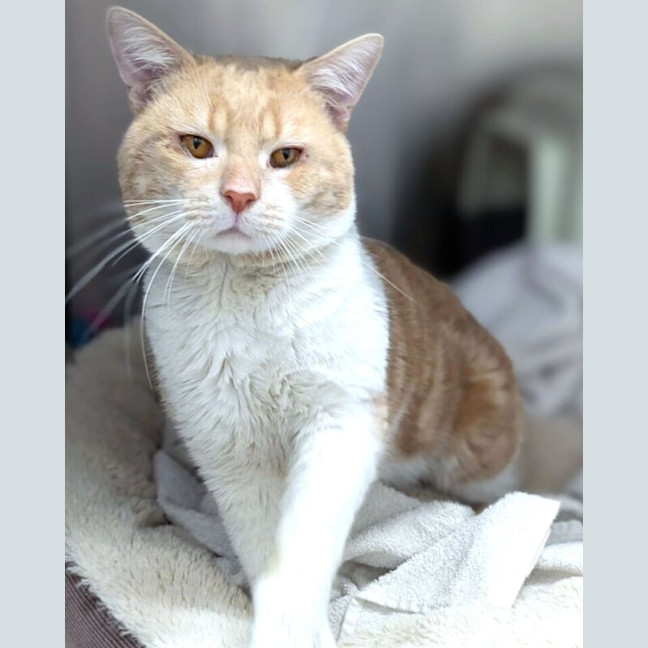 Photo of Arthur