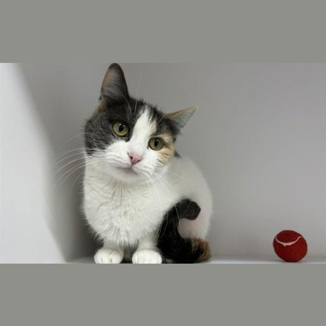 Photo of Molly