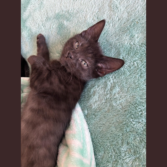 Photo of Luci