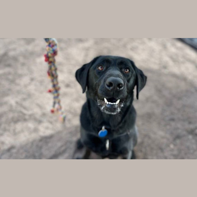 Photo of Luna