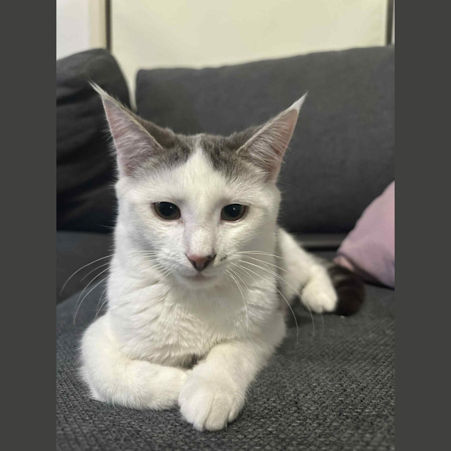 Photo of Jethro