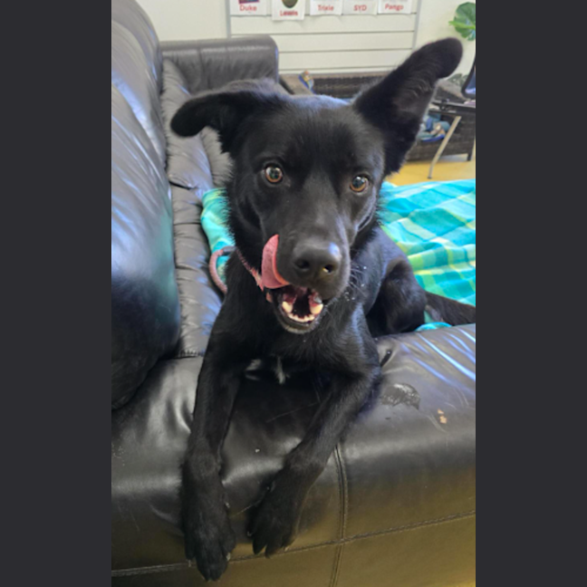 Photo of Seeker
