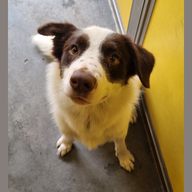 Photo of Maverick 