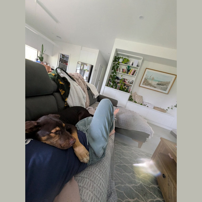 Photo of Nugget 