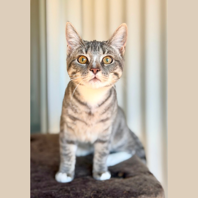 Photo of Maeve