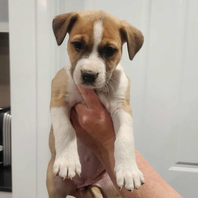 Photo of Lady Rainicorn