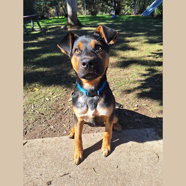 Photo of Nelly