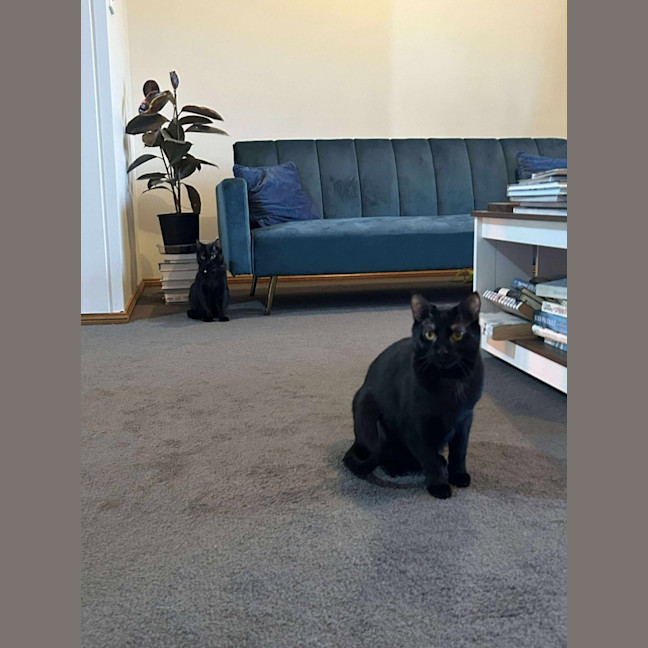 Photo of Violet And Prickle