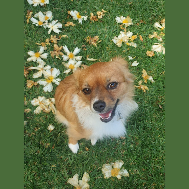 Photo of Lili