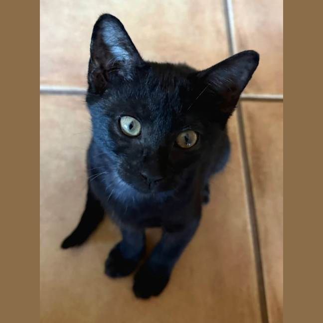 Photo of Elphaba