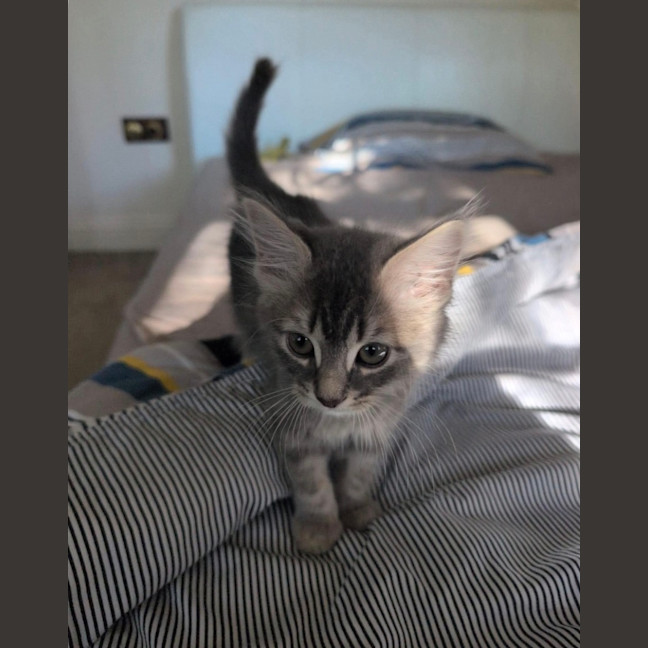 Photo of Sooty