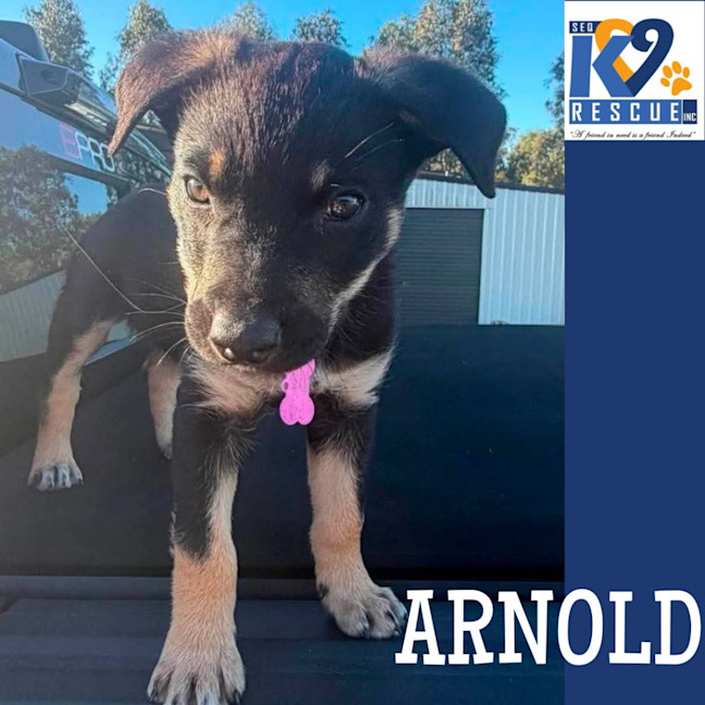 Photo of Arnold