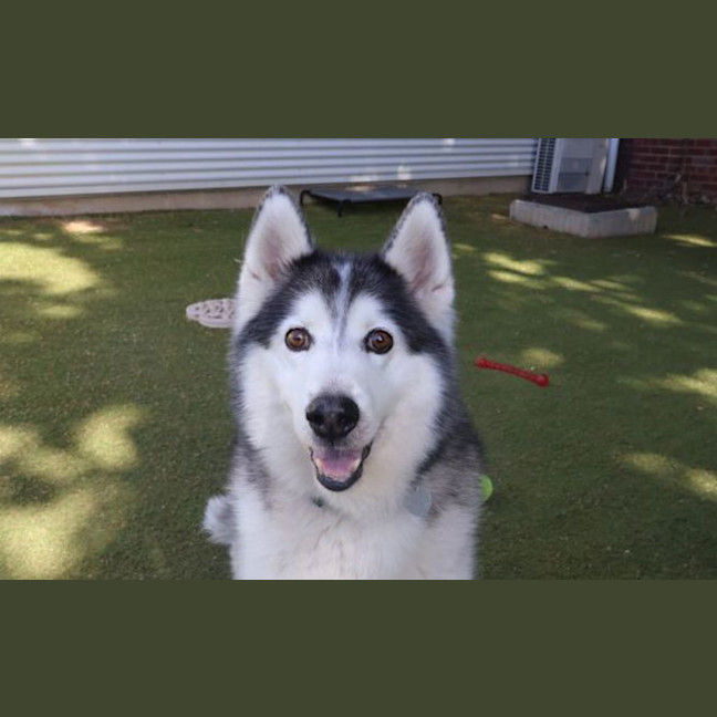 Photo of Maverick