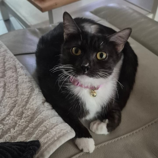 Photo of Yuki