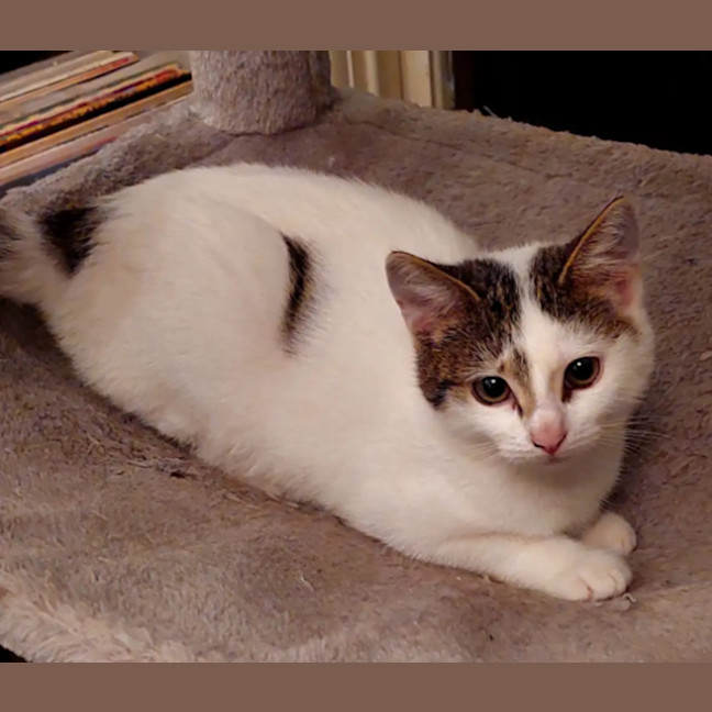 Photo of Kimmie 🌺