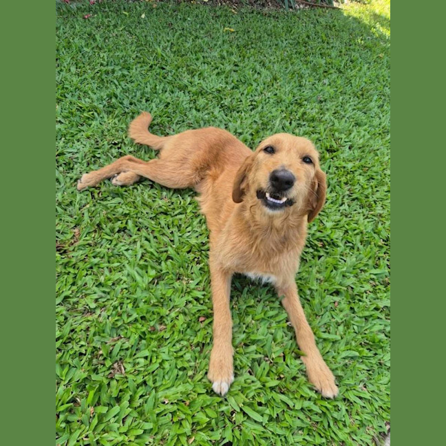 Photo of Daisy