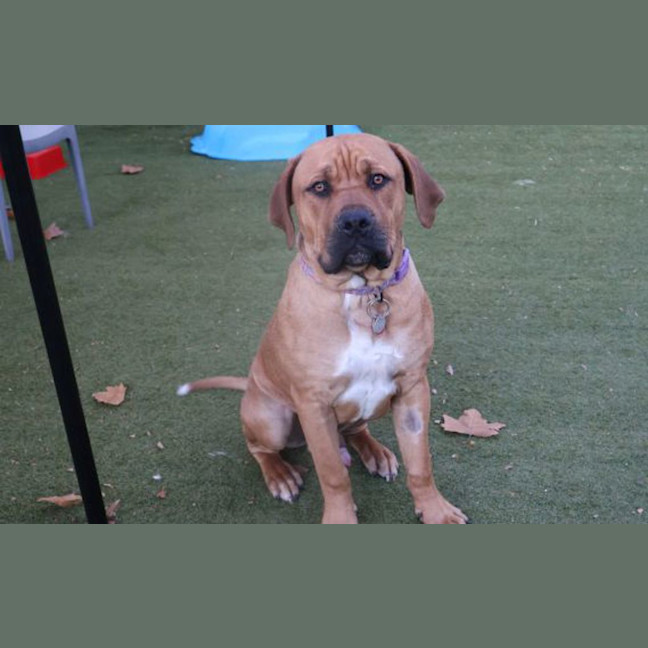 Photo of Gus