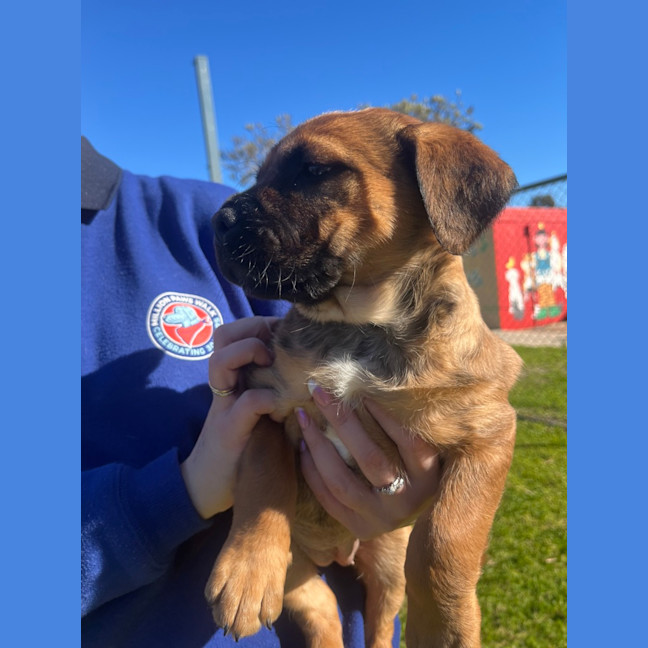 Photo of Tori Spring