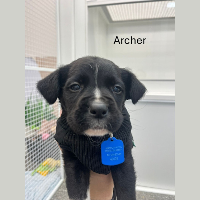 Photo of The Magnificent Seven!