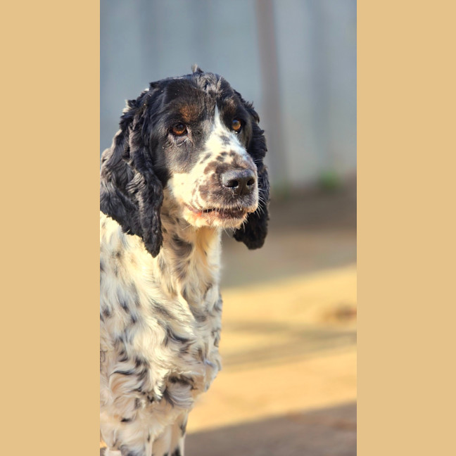 Photo of Lola