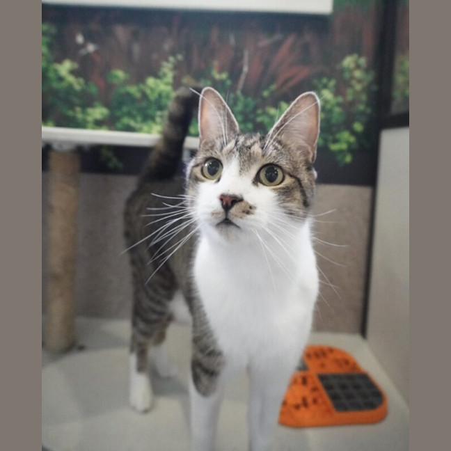 Photo of Mo
