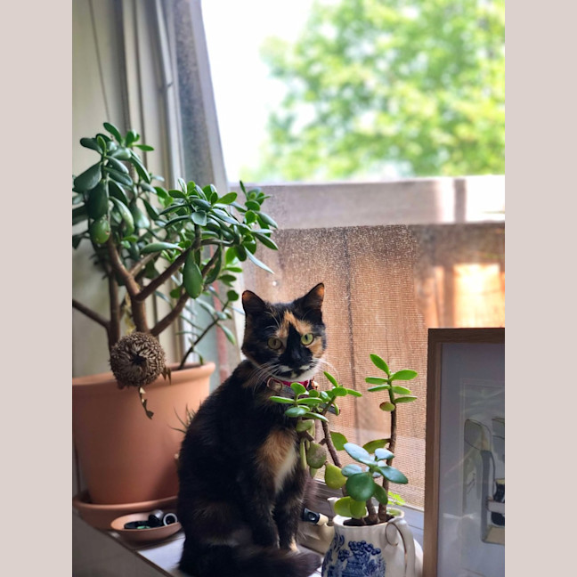 Photo of Viv (Vivienne)