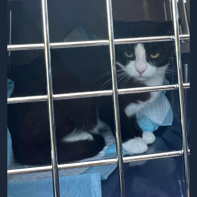 Photo of Beanzie❤️