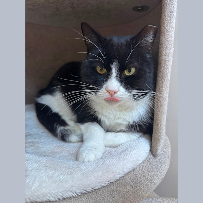 Photo of Gatsby 🌟