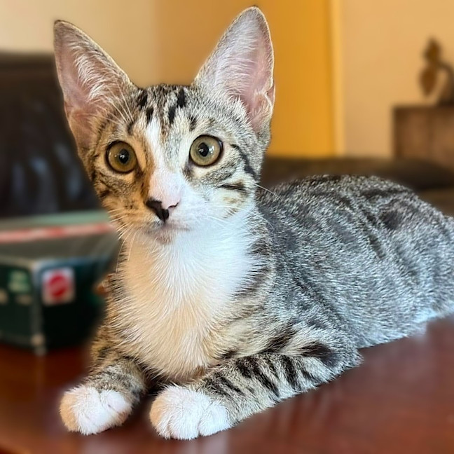 Photo of Winnie