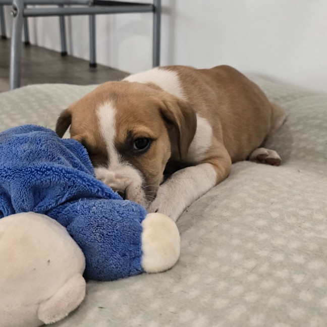 Photo of Lady Rainicorn