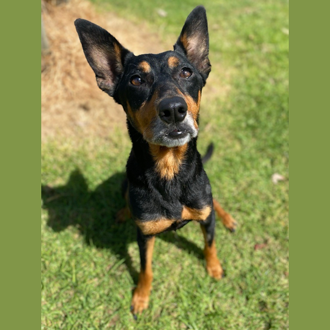 Photo of Sookie