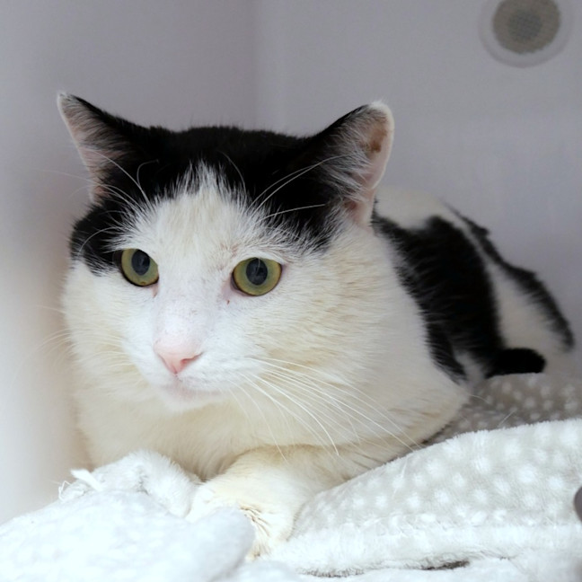 Photo of Moo Sta014105