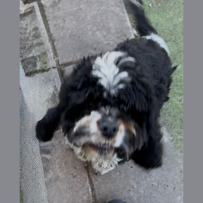 Photo of Maggie