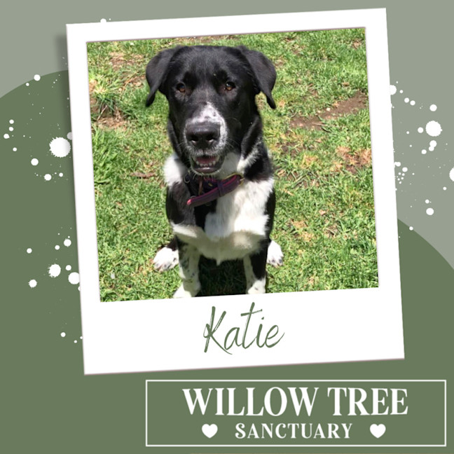 Photo of Katie