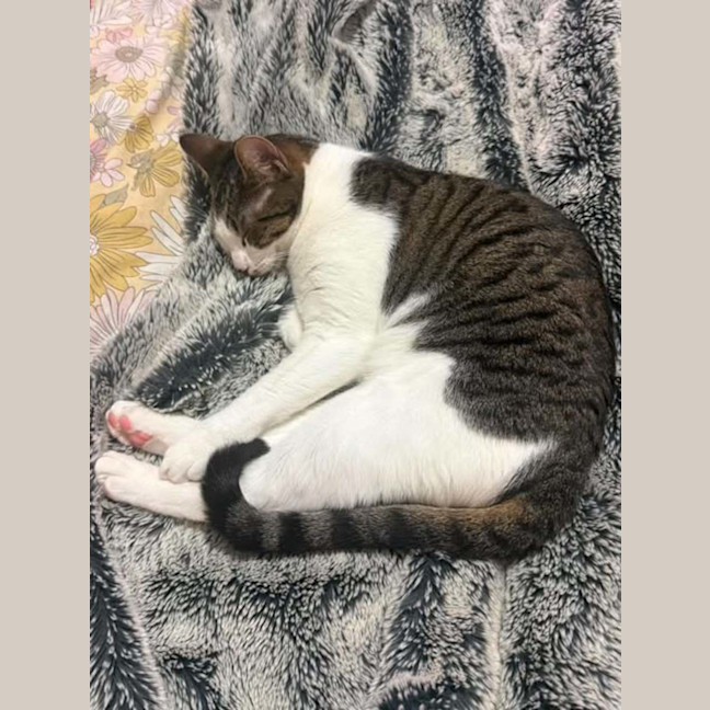 Photo of Esmeralda