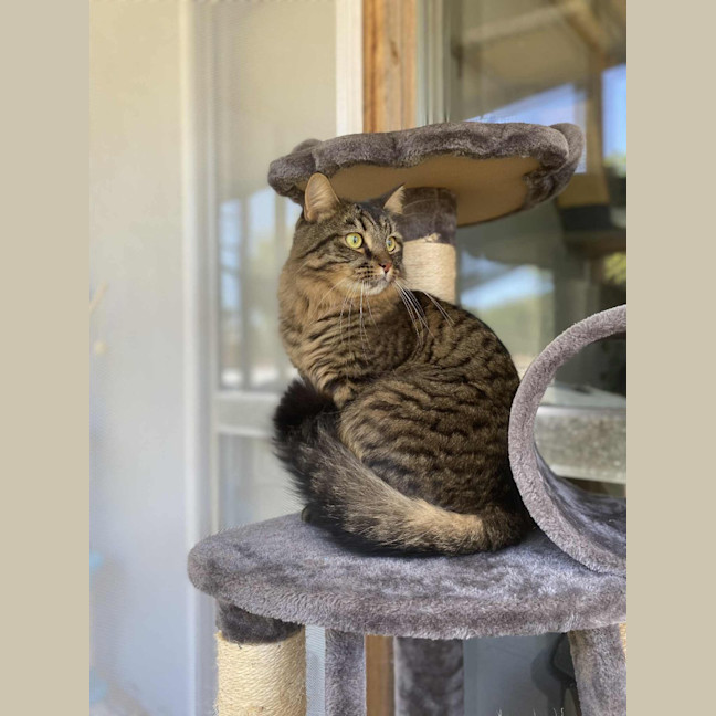 Photo of Quincy