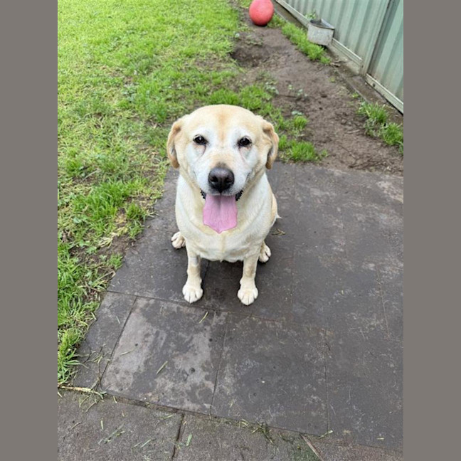 Photo of Narla