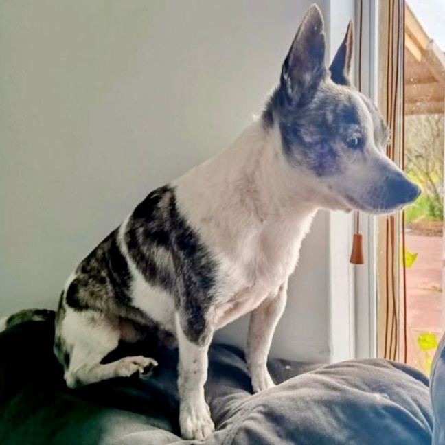 Photo of Sunny And Pj 