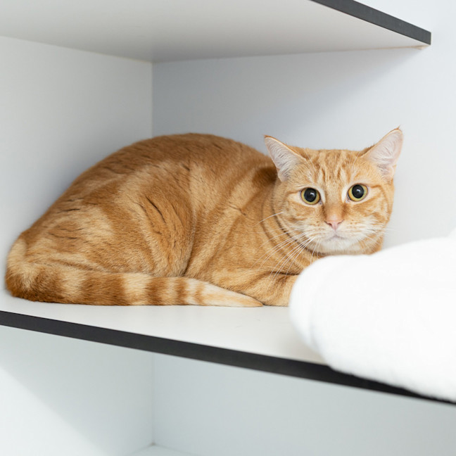 Photo of Ed