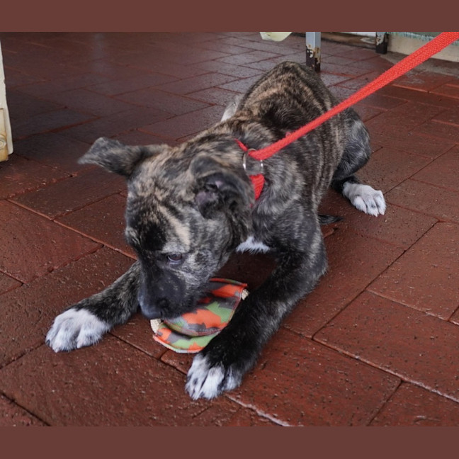 Photo of Winnie